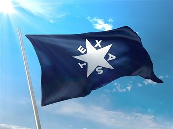 Battle Flag of Texas - First Republic 1836 - de Zavala