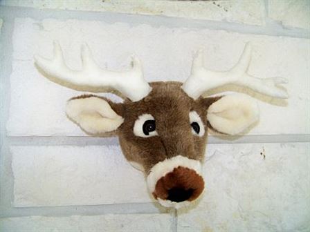 Texas White Tail Deer Head Mount-Not So Life Size
