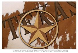 Texas Lone Star Placemats