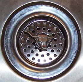 Kitchen Online Stores on Kitchen Sink Strainer W Longhorn