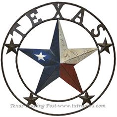Texas License Plate Lone Star Metal Art with Texas