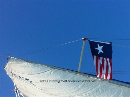 Battle Flag of Texas - Texas Navy 