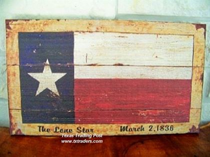 Classic bmw texas flag #6