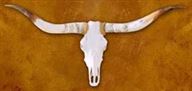 How to Tell a Quality Longhorn Mount from Fakes