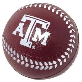Texas A&M Baseball for Kids of All Ages!