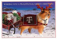 Texas Christmas Cards-Texas A&M Reveille with a Sleigh