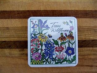 Coasters - Texas Wildflowers