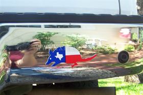 Texas Armadillo Decal 