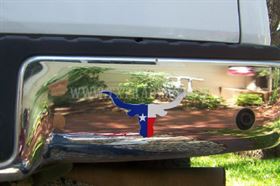 Texas Flag Longhorn Decal