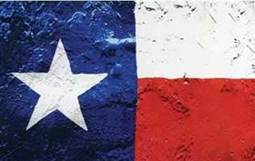 Magnet - Texas Flag