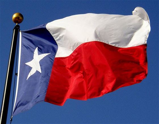Battle Flag of Texas - State Flag