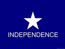 Battle Flag of Texas - Captain Scott-Independence Battle flag
