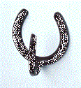 Horseshoe with Hook