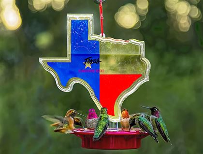 Texas Shaped Hummingbird Feeder