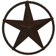 Metal Texas Lone Star with Rope - 8"