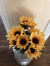 Silk Stalk of Texas Sunflowers