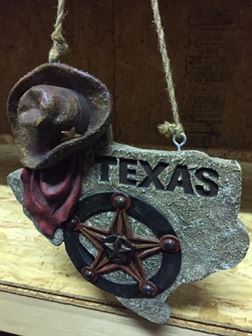 Texas Map Decoration