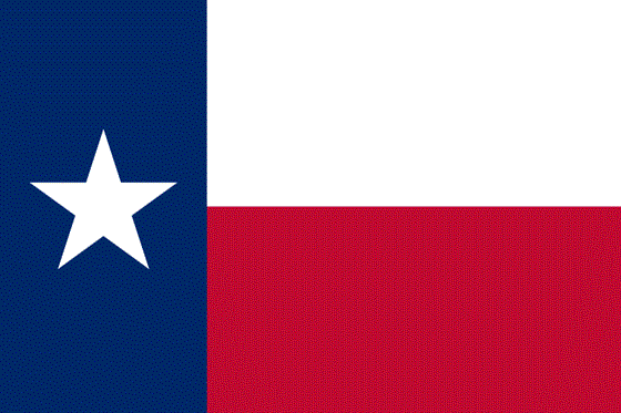 Texas Flag Magnet